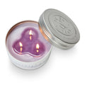 Lavender Vanilla Tried & True Large Tin