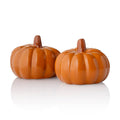 Pumpkin Salt and Pepper Shakers