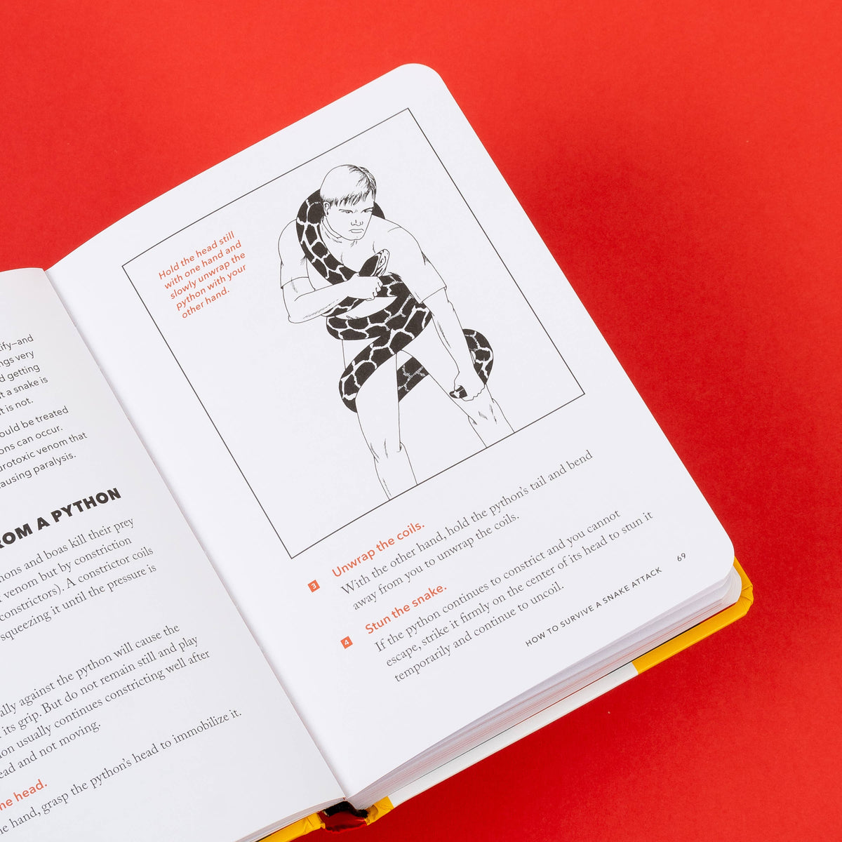 The NEW Worst-Case Scenario Survival Handbook