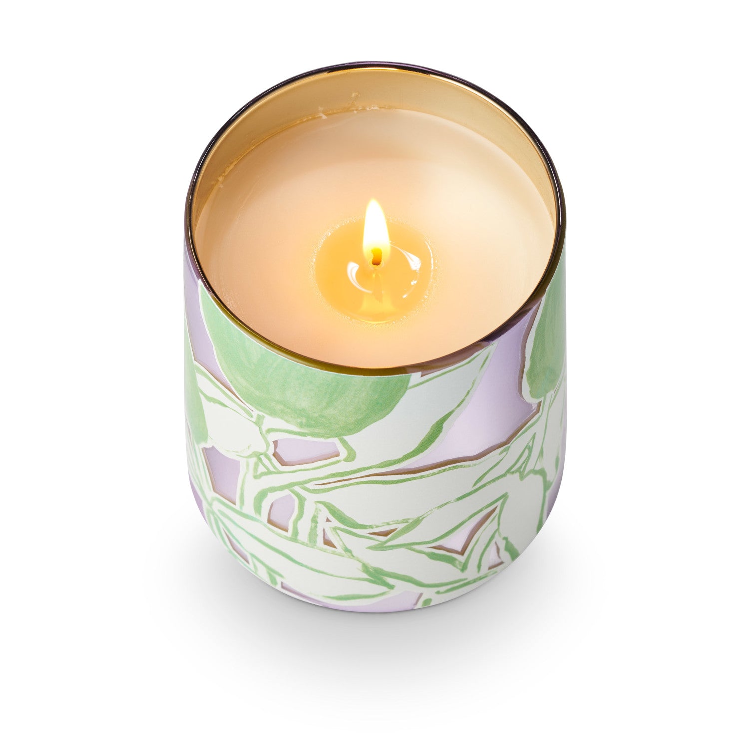 Summer Vine Illume Candle