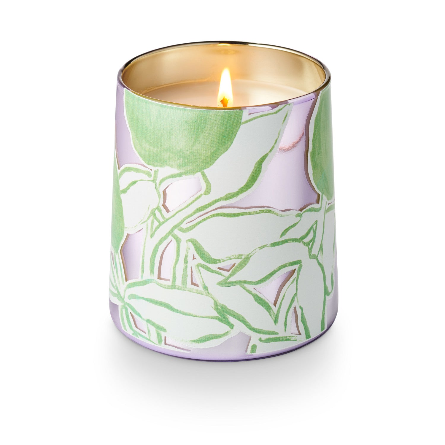 Summer Vine Illume Candle