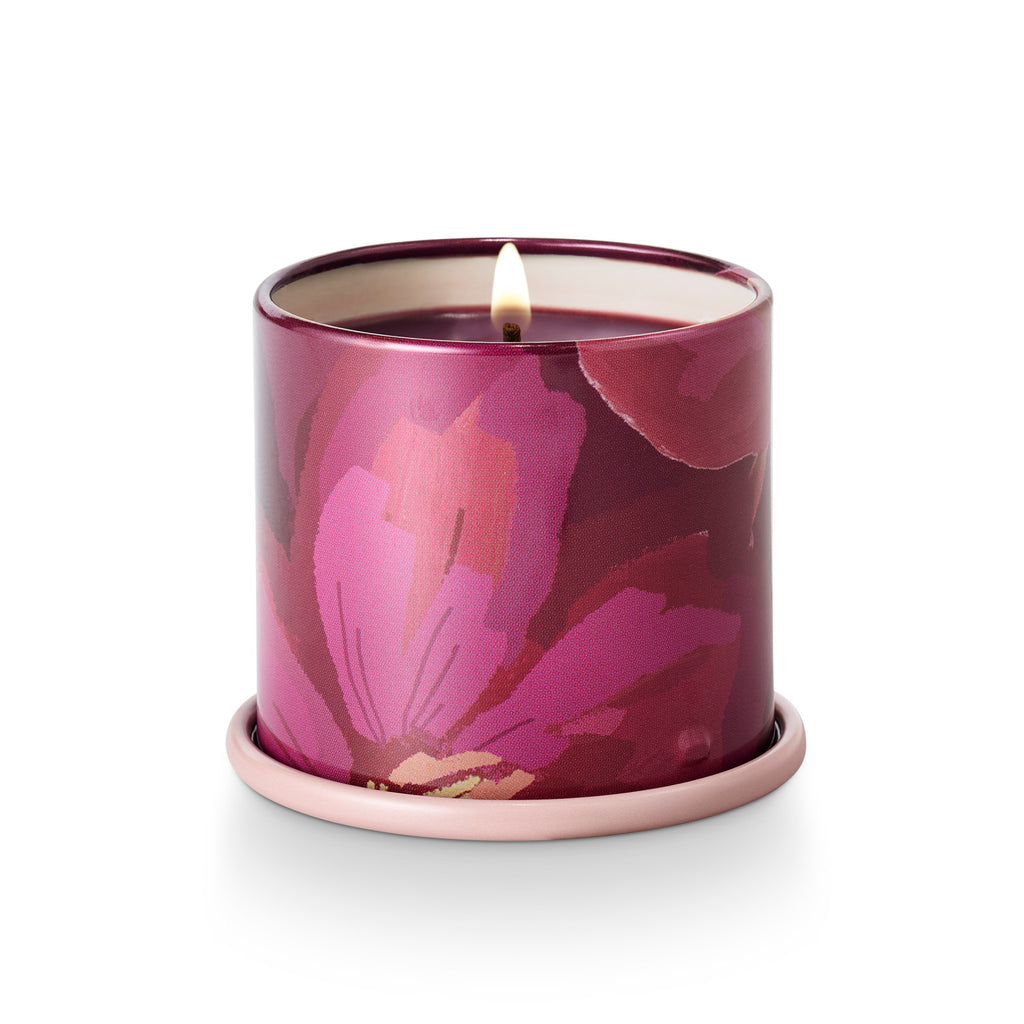 Oleander Oak Demi Vanity Tin Illume Candle