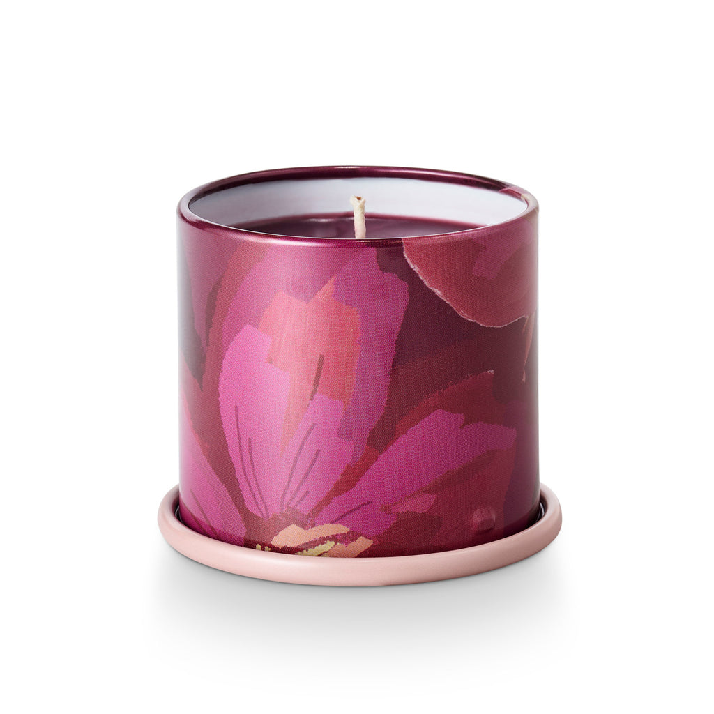 Oleander Oak Demi Vanity Tin Illume Candle