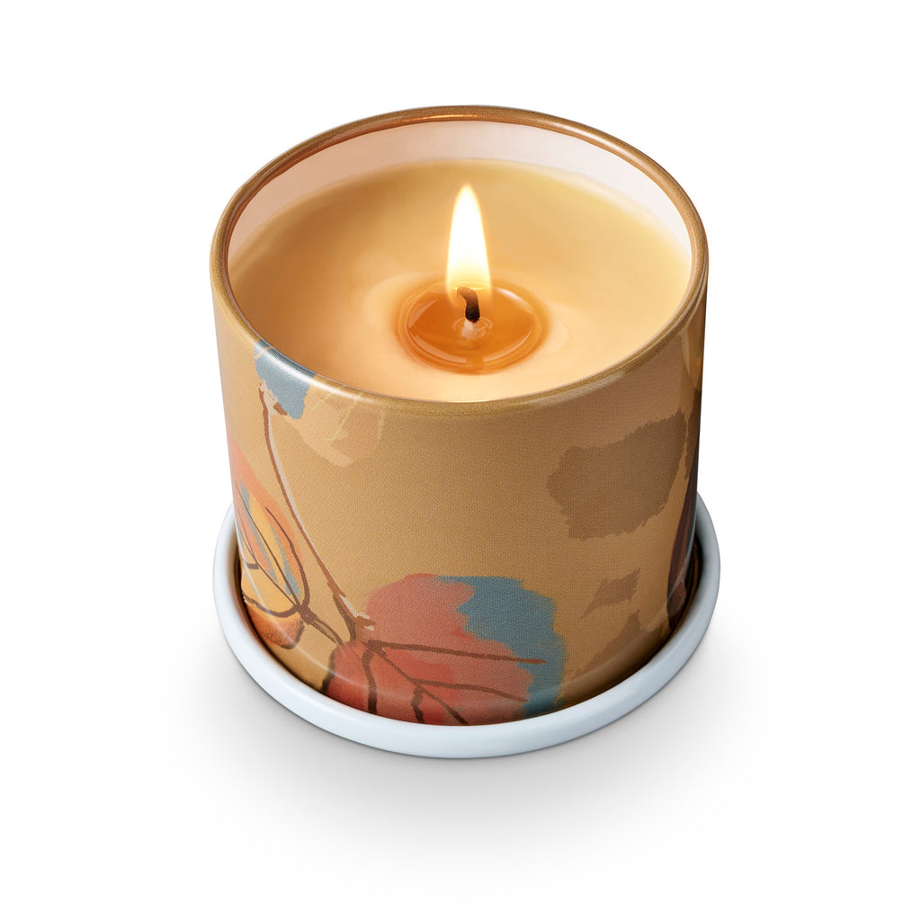 Santal Birch Demi Vanity Tin Illume Candle