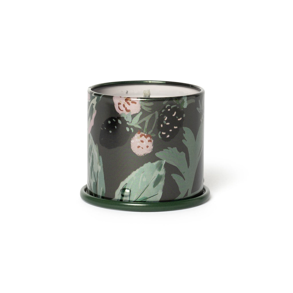 Blackberry Absinthe Demi Vanity Tin Illume Candle