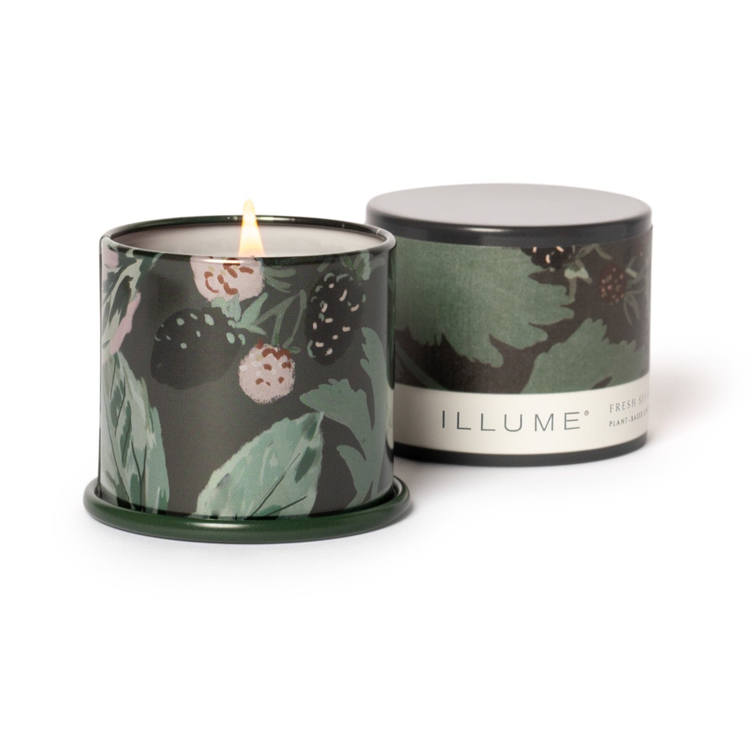 Blackberry Absinthe Demi Vanity Tin Illume Candle
