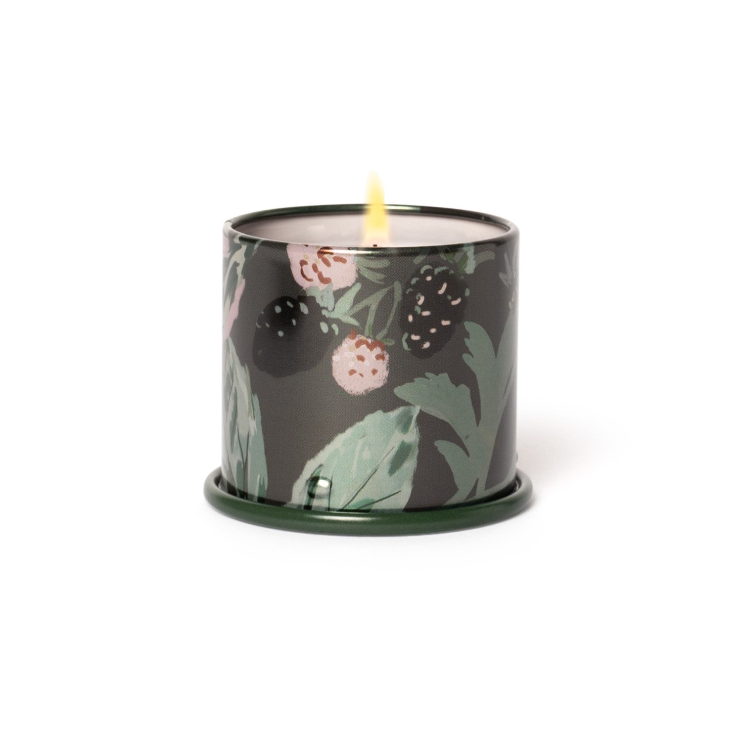 Blackberry Absinthe Demi Vanity Tin Illume Candle