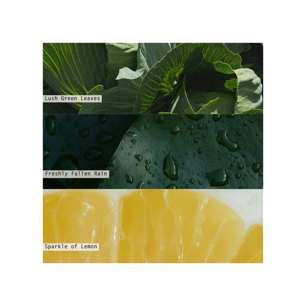 Hidden Lake Boxed Glass Illume Candle