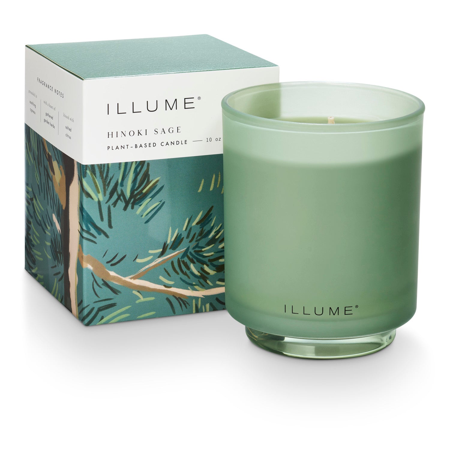 Hinoki Sage Boxed Glass Illume Candle