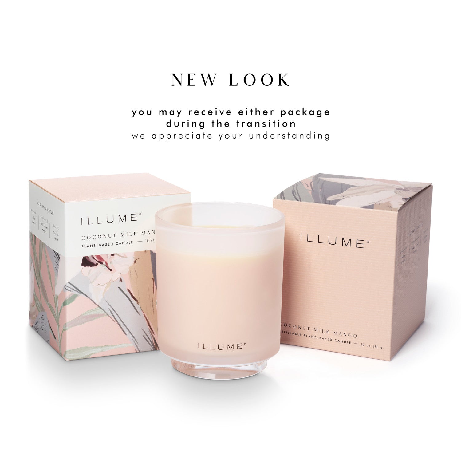 Coconut Milk Mango Boxed Glass Illume Candle