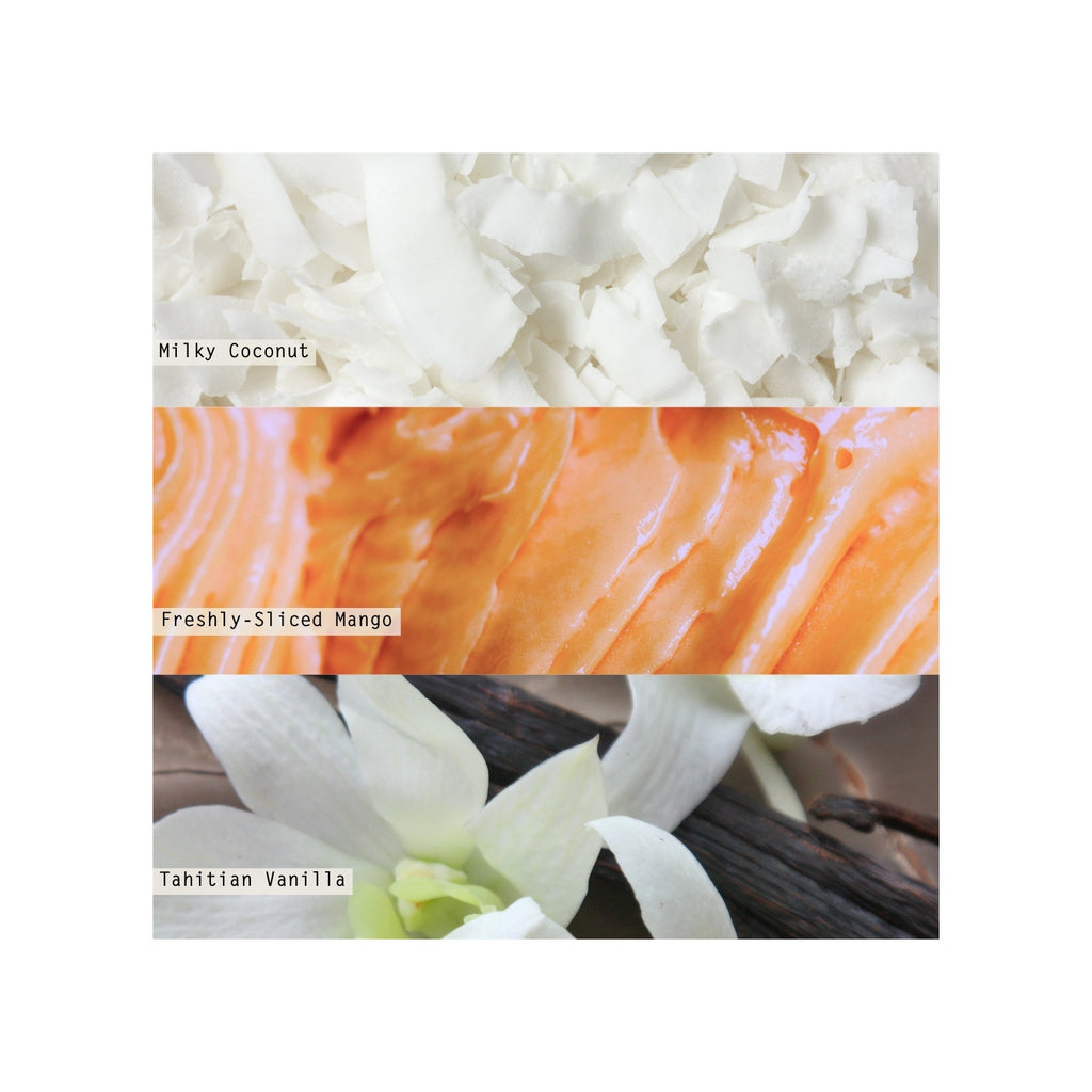 Coconut Milk Mango Boxed Glass Illume Candle