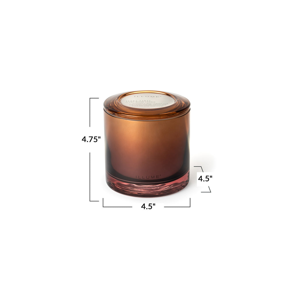 Terra Tabac Statement Glass Illume Candle