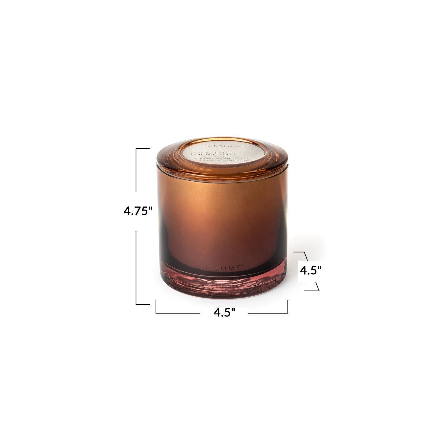 Terra Tabac Statement Glass Illume Candle