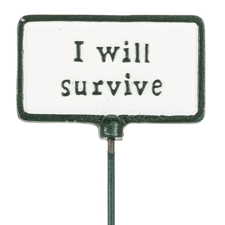 Plant Signs-Antique White-5 Assorted