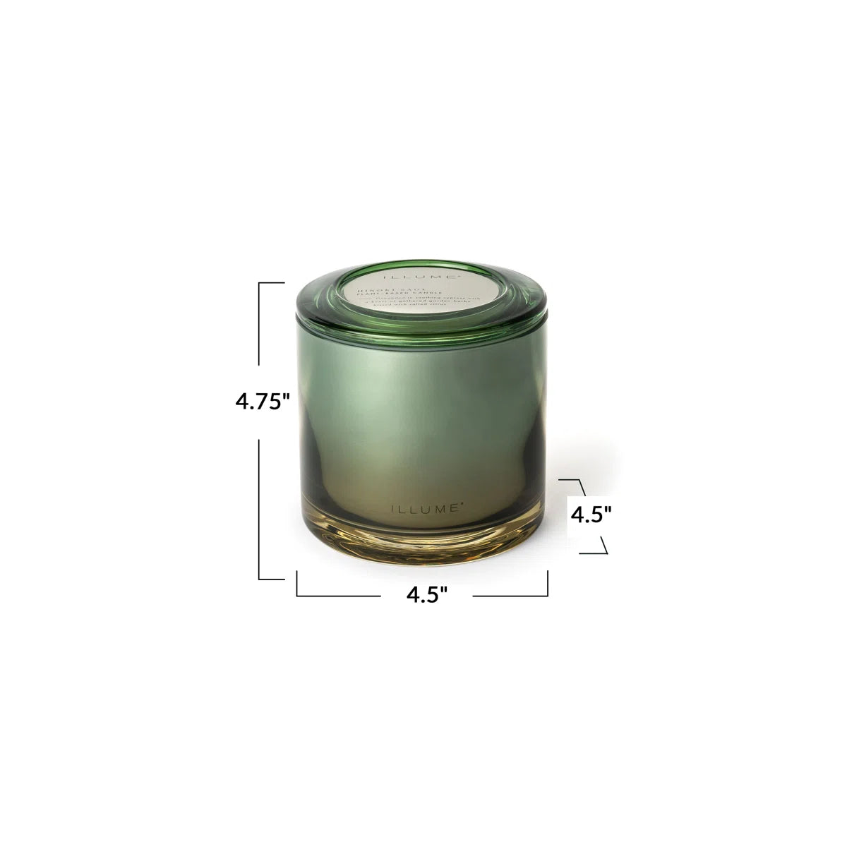 Hinoki Sage Statement Candle
