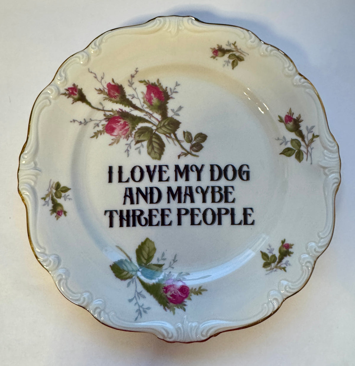 I Love My Dog and Maybe Three People Decorative Plate