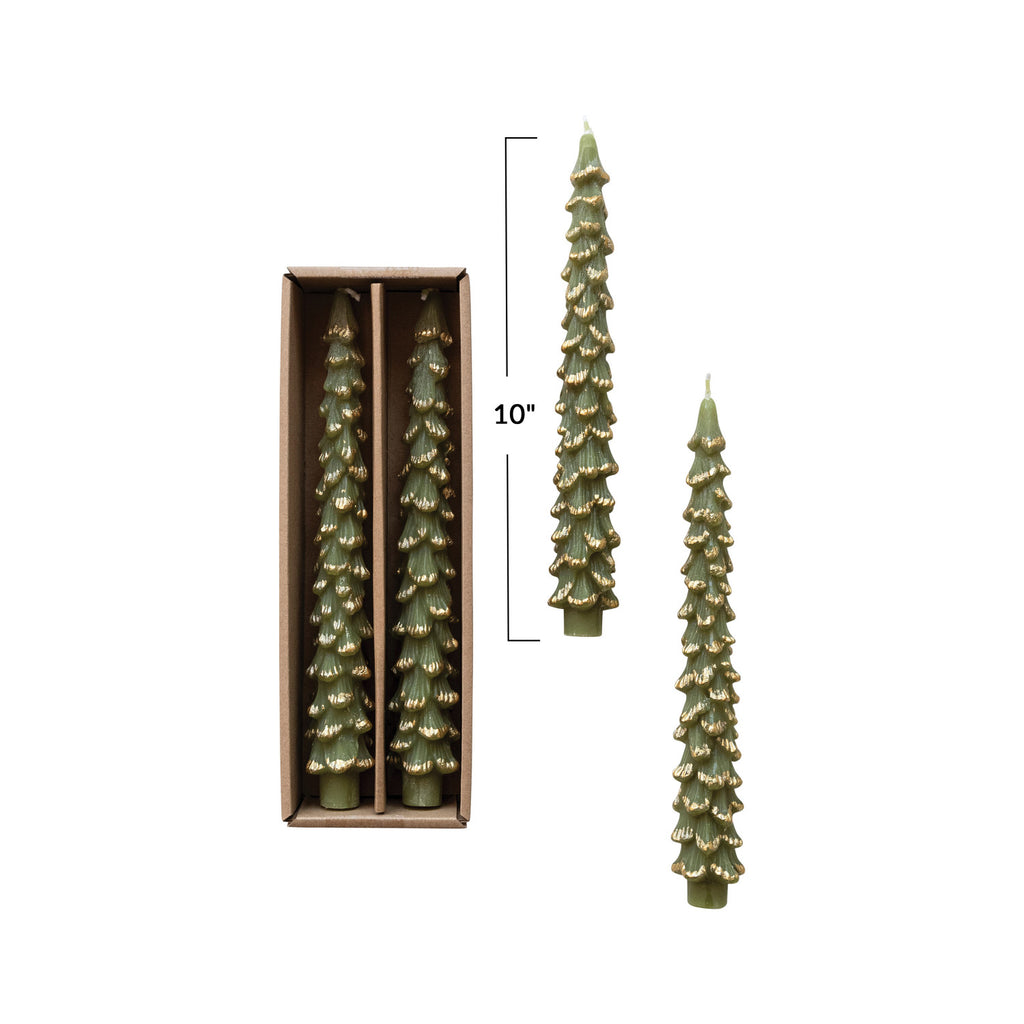Tree Shaped Taper Candles w/ Gold Tips in Box, Set of 2