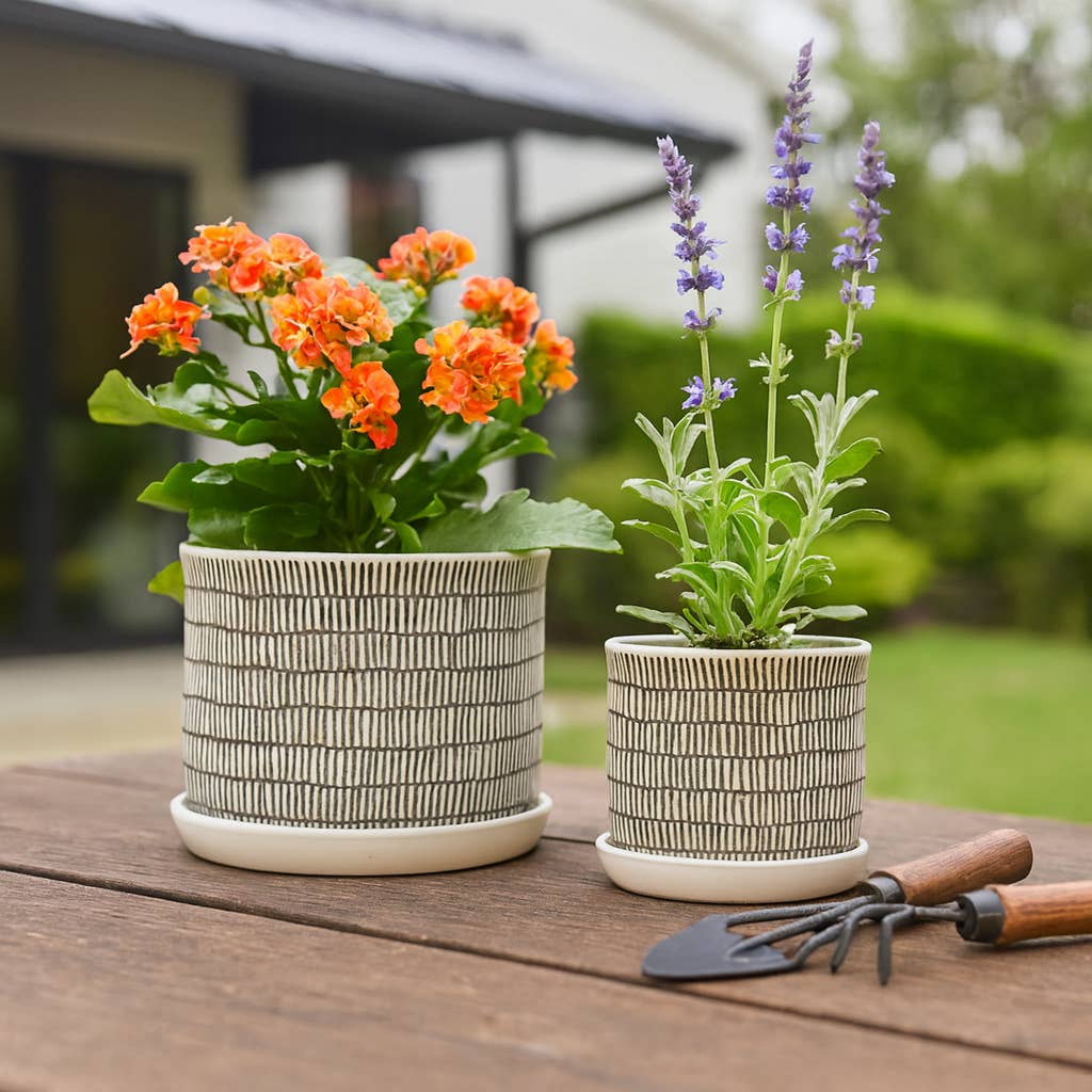 Sagebrook Home - Planters Set of 2 - Ivory Ceramic Line with Saucer, 6/8 in.