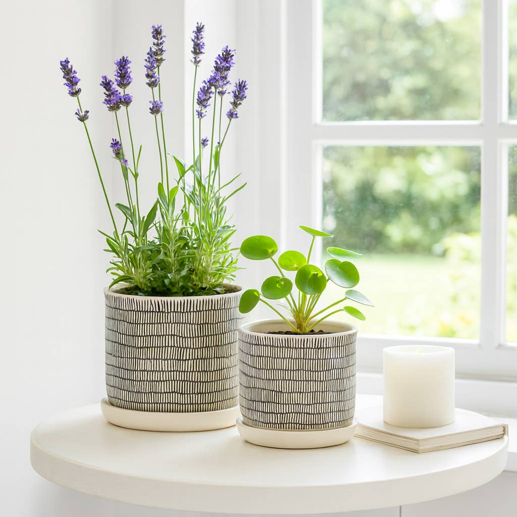 Sagebrook Home - Planters Set of 2 - Ivory Ceramic Line with Saucer, 6/8 in.