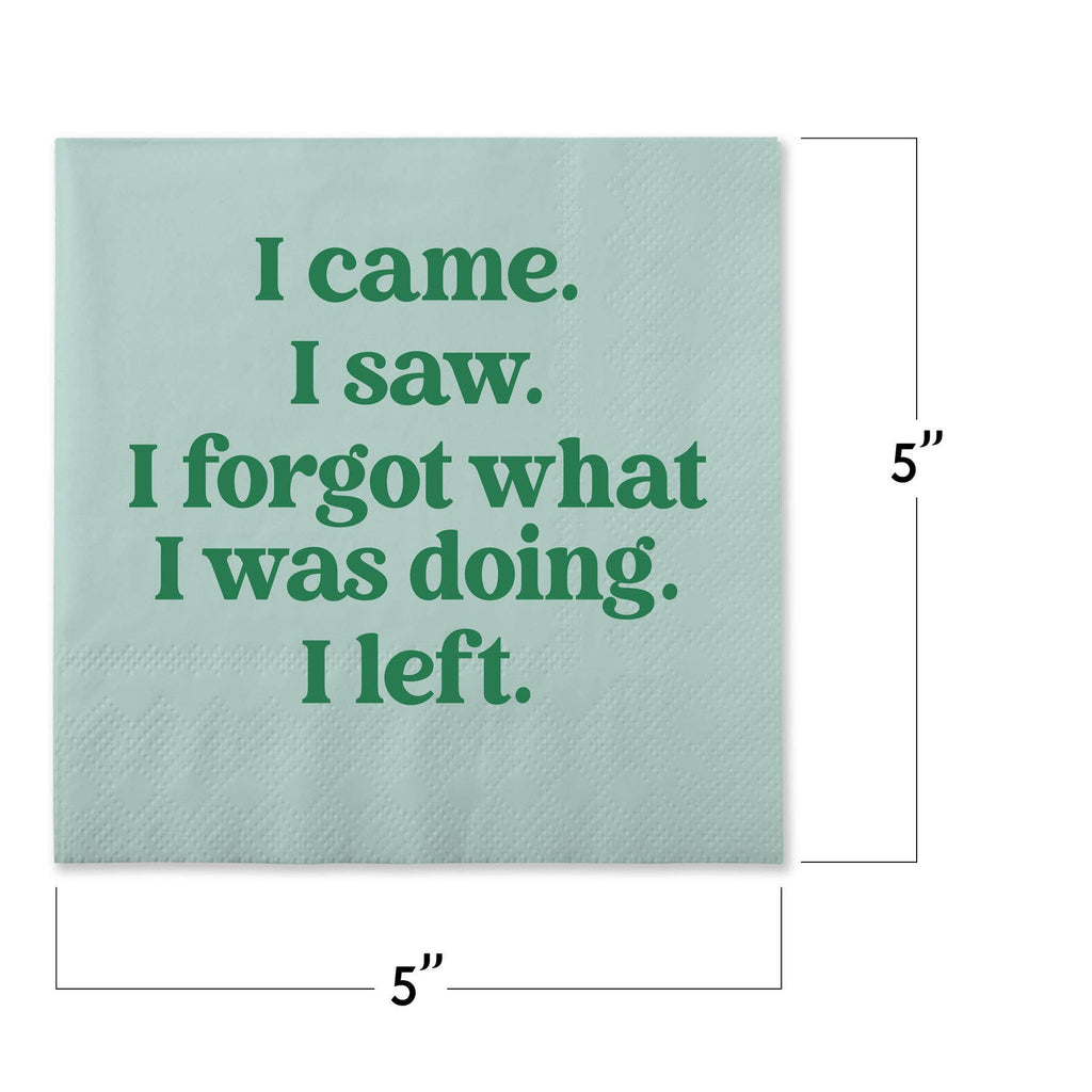 I Came.  I Saw. I Forgot...Funny Napkins