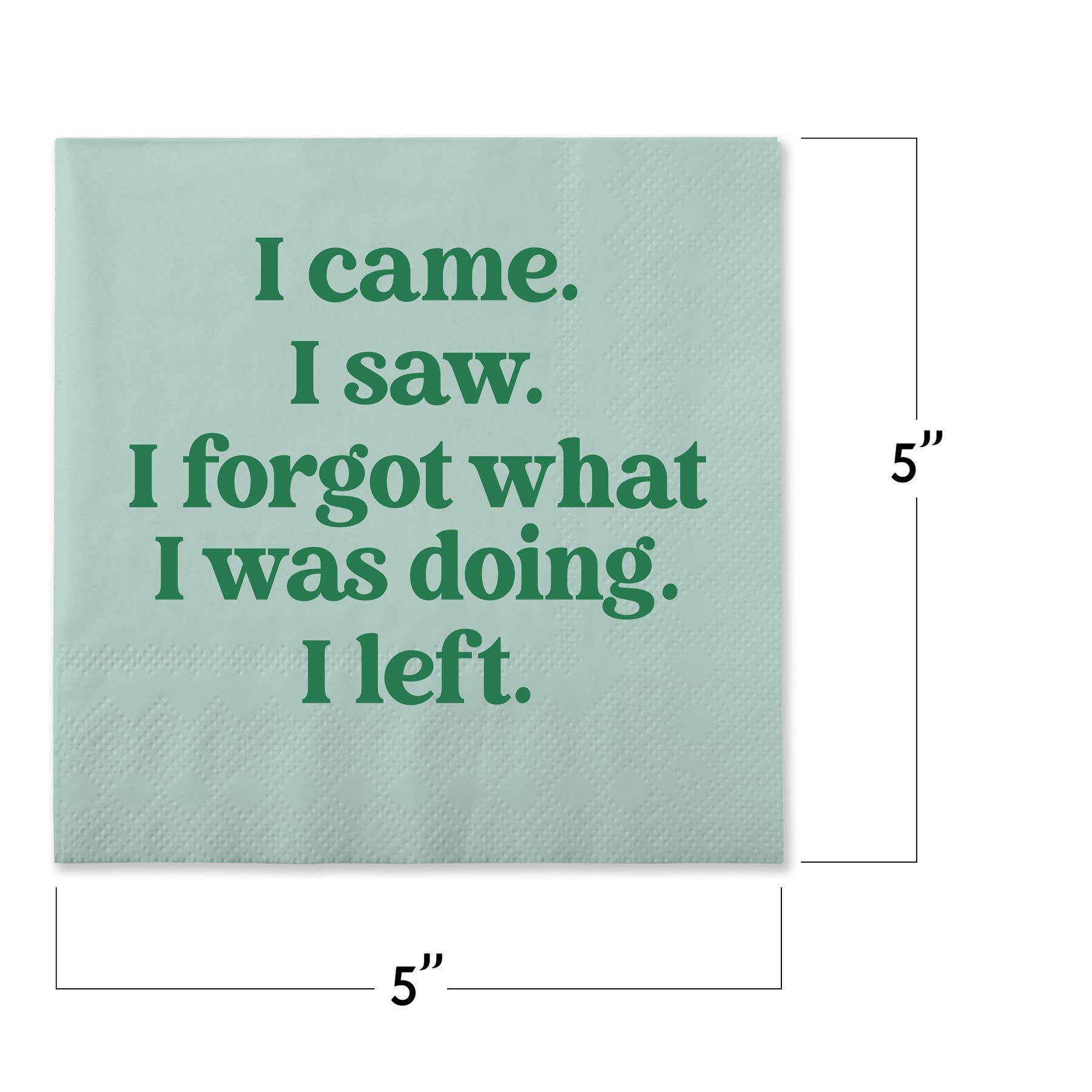 I Came.  I Saw. I Forgot...Funny Napkins
