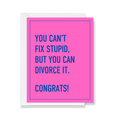 Can't Fix Stupid Divorce Greeting Card