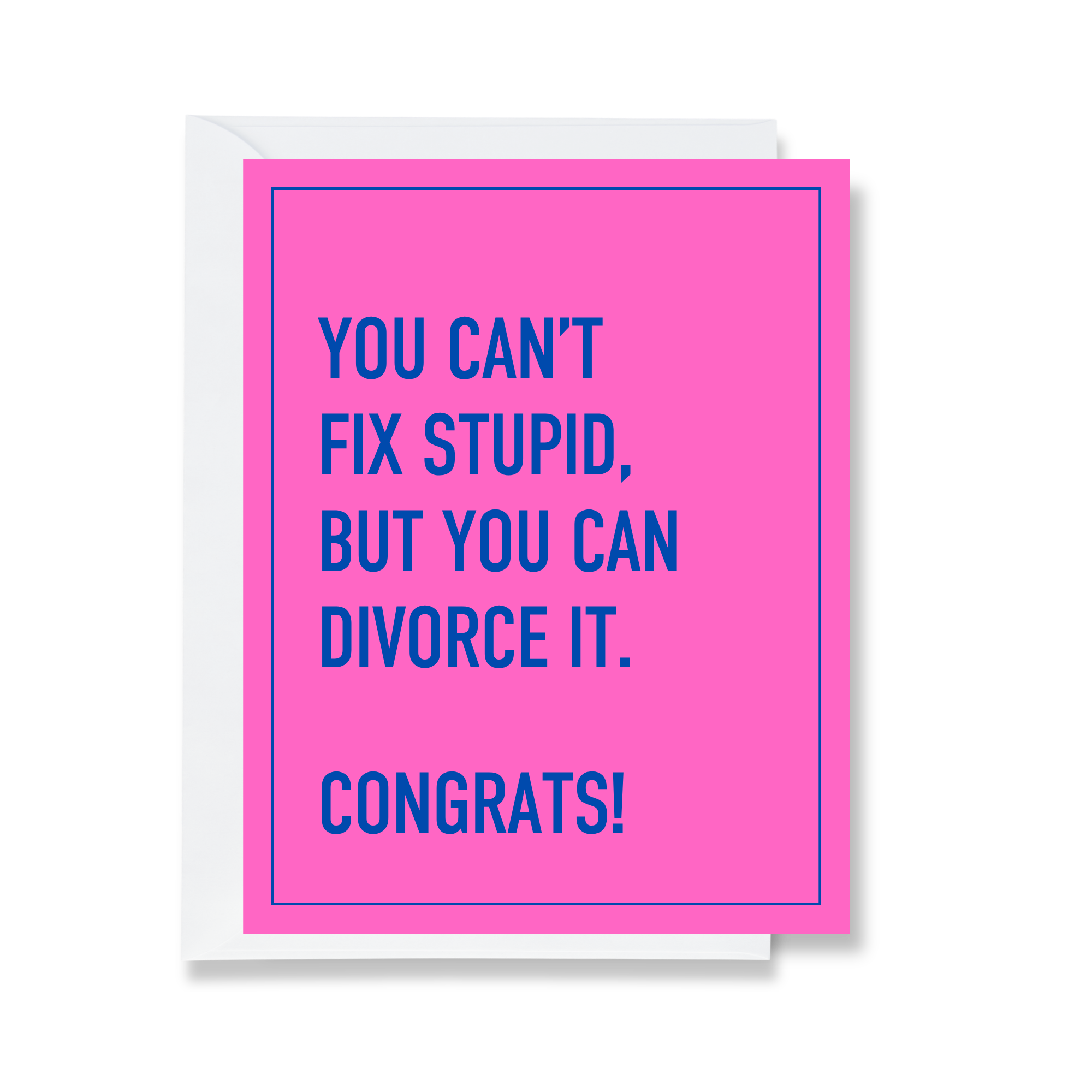 Can't Fix Stupid Divorce Greeting Card